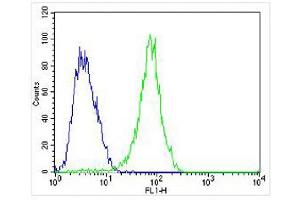 anti-Fibroblast Growth Factor 9 (FGF-9) antibody