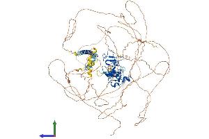 AlphaFold protein structure predicition of Mouse Recombinant Mllt10 Protein, UniprotID O54826
