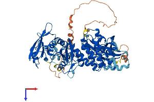 AlphaFold protein structure predicition of Mouse Recombinant Syk Protein, UniprotID P48025