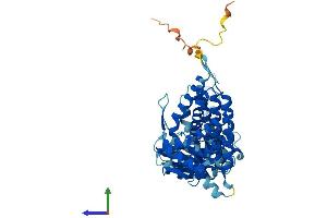 AlphaFold protein structure predicition of Mouse Recombinant Cct7 Protein, UniprotID P80313