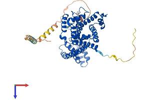 AlphaFold protein structure predicition of Human Recombinant FICD Protein, UniprotID Q9BVA6