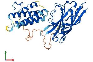 AlphaFold protein structure predicition of Human Recombinant AIDA Protein, UniprotID Q96BJ3