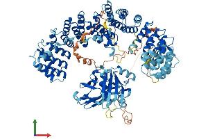 AlphaFold protein structure predicition of Human Recombinant AP1B1 Protein, UniprotID Q10567