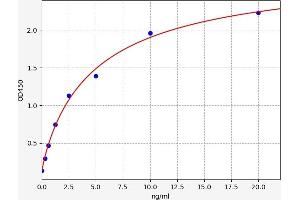 Typical standard curve