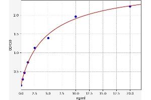 Typical standard curve (TCF3 Kit ELISA)