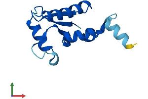 AlphaFold protein structure predicition of Mouse Recombinant Sh3bgrl Protein, UniprotID Q9JJU8