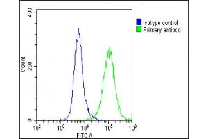Overlay histogram showing U-87 MG cells stained with (ABIN6242124 and ABIN6578885)(green line).