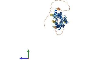 AlphaFold protein structure predicition of Mouse Recombinant Htr2b Protein, UniprotID Q02152