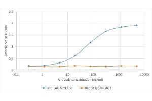 Binding curve of anti-Lag3 antibody C9B7W (ABIN7072564) to recombinant mouse Lag3 Fc-Fusion Protein. (Recombinant LAG3 anticorps)