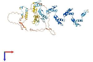 AlphaFold protein structure predicition of Human Recombinant ZNF551 Protein, UniprotID Q7Z340