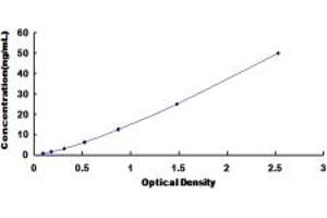 Typical standard curve (Glutathione Synthetase Kit ELISA)