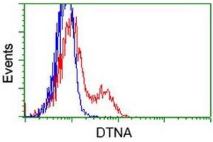 Flow Cytometry (FACS) image for anti-Dystrobrevin alpha (DTNA) antibody (ABIN1497912) (DTNA anticorps)