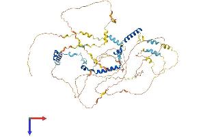 AlphaFold protein structure predicition of Human Recombinant PHACTR4 Protein, UniprotID Q8IZ21