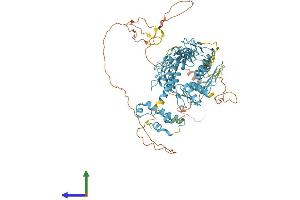 AlphaFold protein structure predicition of Mouse Recombinant Rbak Protein, UniprotID Q8BQC8