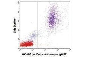 Flow Cytometry (FACS) image for anti-Fucosyltransferase 4 (Alpha (1,3) Fucosyltransferase, Myeloid-Specific) (FUT4) antibody (ABIN2660515) (CD15 anticorps)