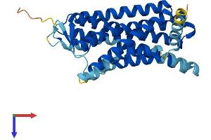 AlphaFold protein structure predicition of Human Recombinant OR1E1 Protein, UniprotID P30953
