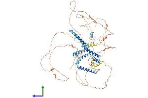 AlphaFold protein structure predicition of Mouse Recombinant Rtn1 Protein, UniprotID Q8K0T0