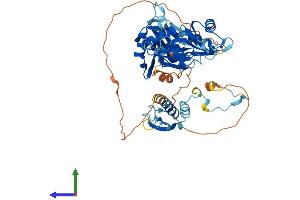 AlphaFold protein structure predicition of Mouse Recombinant Rbm46 Protein, UniprotID P86049