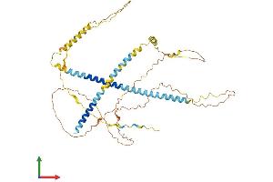 AlphaFold protein structure predicition of Mouse Recombinant Ivl Protein, UniprotID P48997