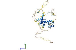 AlphaFold protein structure predicition of Human Recombinant CUEDC1 Protein, UniprotID Q9NWM3