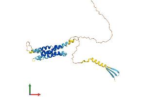 AlphaFold protein structure predicition of Human Recombinant MS4A10 Protein, UniprotID Q96PG2