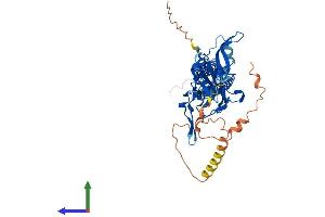 AlphaFold protein structure predicition of Mouse Recombinant Kcnj4 Protein, UniprotID P52189