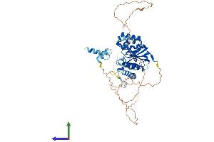 AlphaFold protein structure predicition of Human Recombinant GYG2 Protein, UniprotID O15488