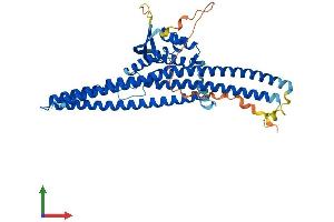 AlphaFold protein structure predicition of Human Recombinant SNX4 Protein, UniprotID O95219