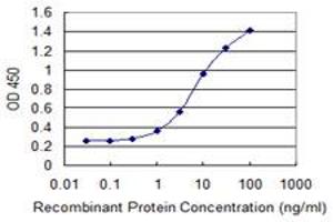 Detection limit for recombinant GST tagged MTCP1 is 0. (MTCP1 anticorps  (AA 1-68))