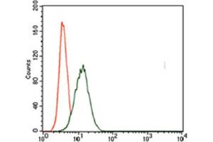 Immunohistochemical analysis of paraffin-embedded cervical cancer tissues using T antibody with DAB staining. (T Antigen (AA 257-309) anticorps)