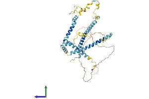 AlphaFold protein structure predicition of Mouse Recombinant Cwc25 Protein, UniprotID Q9DBF7