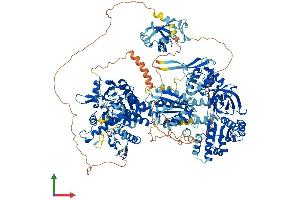 AlphaFold protein structure predicition of Mouse Recombinant Nos1 Protein, UniprotID Q9Z0J4