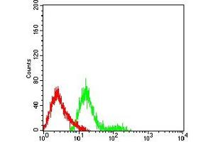 anti-Insulin-Like Growth Factor 2 Receptor (IGF2R) (AA 160-311) antibody