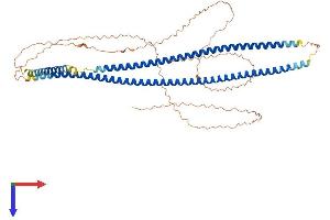 AlphaFold protein structure predicition of Human Recombinant KRT10 Protein, UniprotID P13645