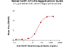 ELISA plate pre-coated by 1 μg/mL (100 μL/well) Human CD47, mFc-His tagged protein  (ABIN6961081, ABIN7042191 and ABIN7042192) can bind Anti-CD47 Neutralizing antibody ABIN7093068 and ABIN7272598 in a linear range of 3.