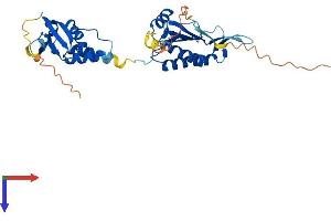 AlphaFold protein structure predicition of Human Recombinant TNFAIP1 Protein, UniprotID Q13829