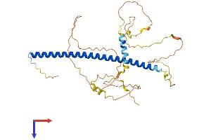 AlphaFold protein structure predicition of Mouse Recombinant Junb Protein, UniprotID P09450