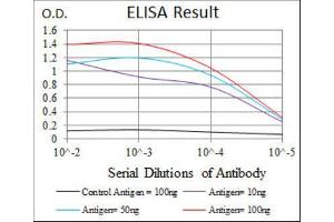 ELISA image for anti-Recombination Activating Gene 1 (RAG1) (AA 818-868) antibody (ABIN1845755)