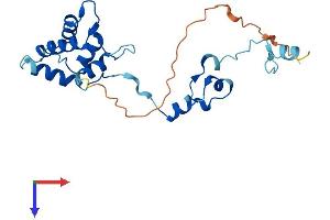 AlphaFold protein structure predicition of Mouse Recombinant Tppp Protein, UniprotID Q7TQD2