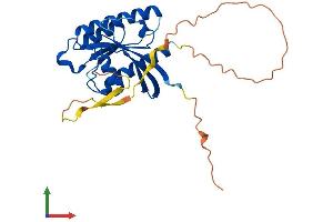 AlphaFold protein structure predicition of Mouse Recombinant Rasl12 Protein, UniprotID Q08AT1