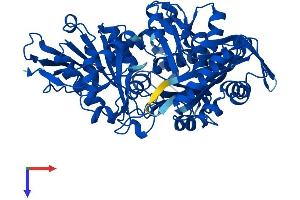 AlphaFold protein structure predicition of Human Recombinant PGM1 Protein, UniprotID P36871