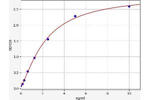 Typical standard curve