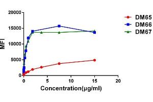 Affinity ranking of different Rabbit anti-4-1BB mAb clones by titration of different concentration onto Expi 293 cell line transfected with human 4-1BB.