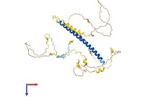 AlphaFold protein structure predicition of Mouse Recombinant Tsc22d4 Protein, UniprotID Q9EQN3