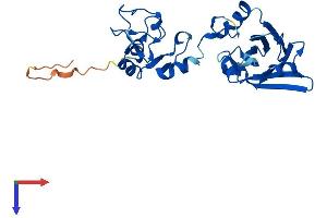 AlphaFold protein structure predicition of Human Recombinant SIAH1 Protein, UniprotID Q8IUQ4