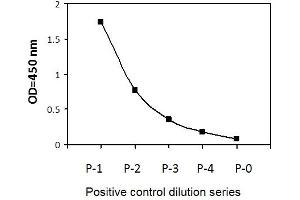 HT29 cells were treated with Calyculin A. (IRF3 Kit ELISA)