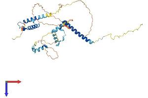AlphaFold protein structure predicition of Mouse Recombinant Polr2m Protein, UniprotID Q6P6I6