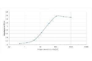 Binding curve of anti-Spike protein (RBD) antibody Sb#14 (59) to SARS-Cov-2 Spike protein RBD-Fc Fusion Protein.