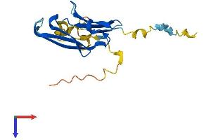 AlphaFold protein structure predicition of Human Recombinant CRYAA Protein, UniprotID P02489