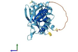 AlphaFold protein structure predicition of Human Recombinant RWDD3 Protein, UniprotID Q9Y3V2